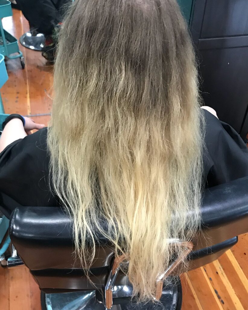 Top Knot portfolio photo 754